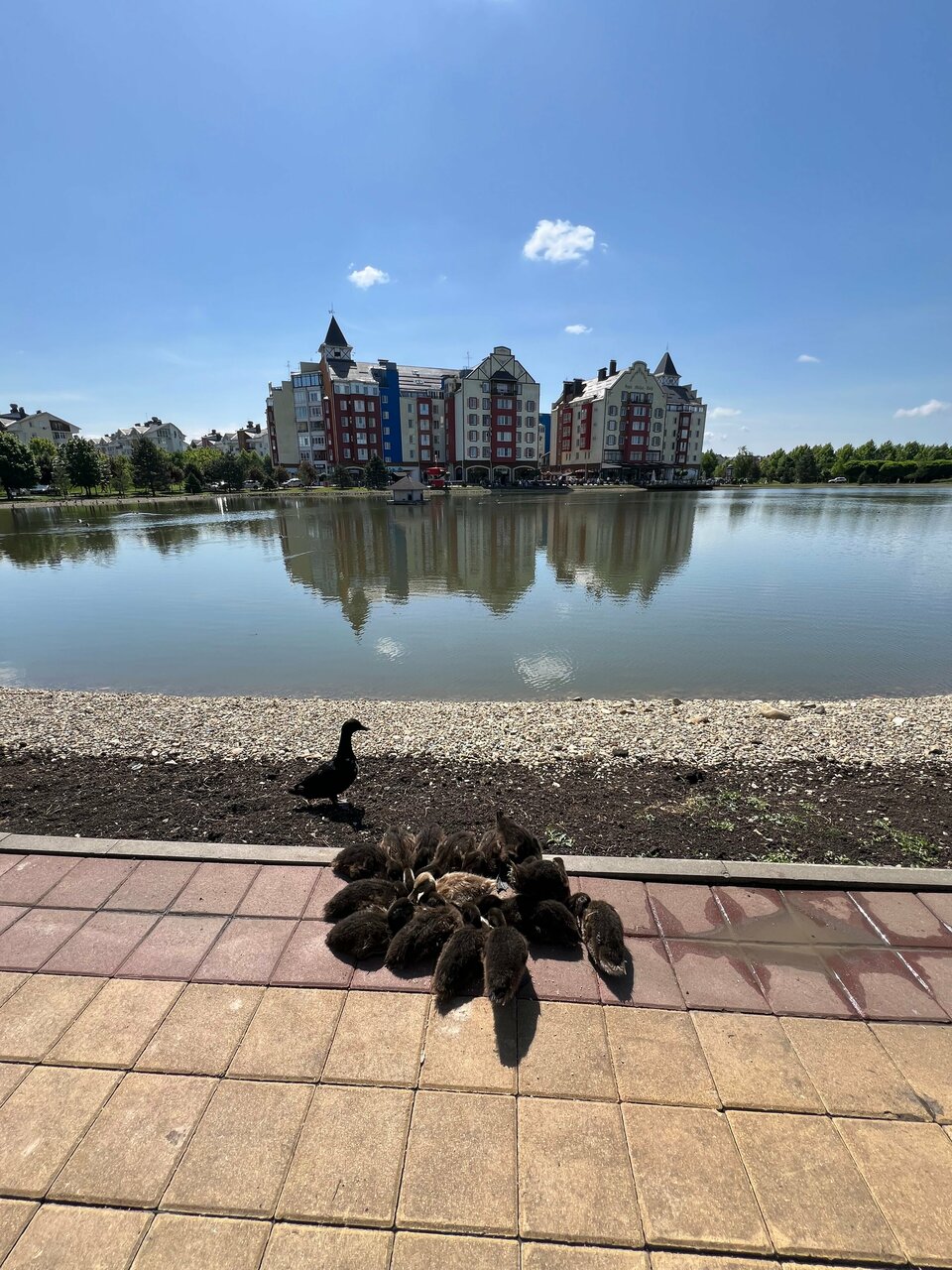 Апарт-отель Мюллер Бах Краснодар-188