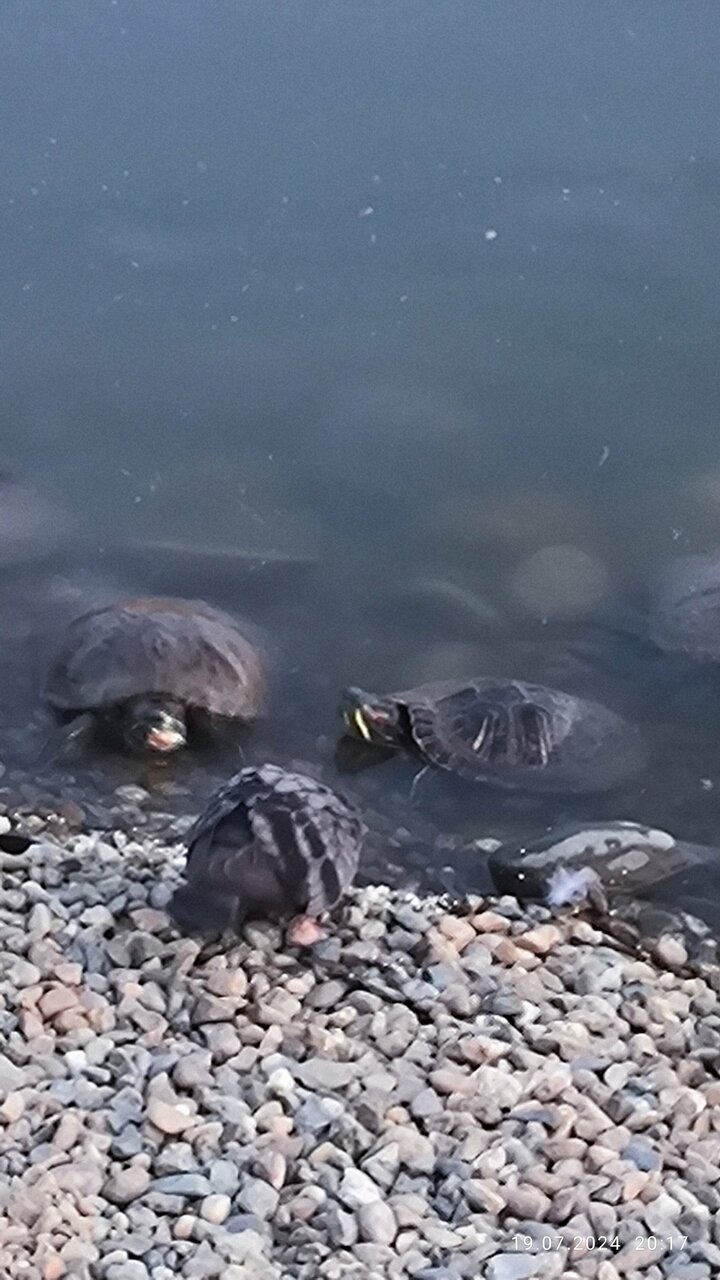 Апарт-отель Мюллер Бах Краснодар-217