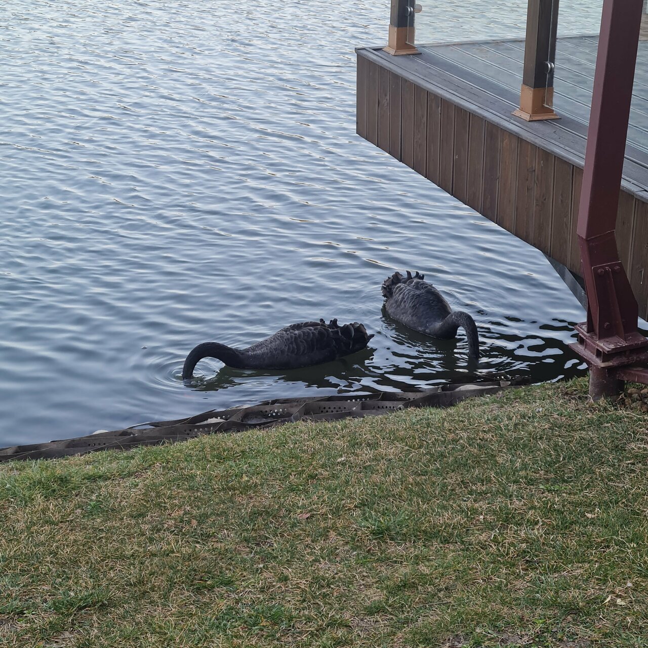 Апарт-отель Мюллер Бах Краснодар