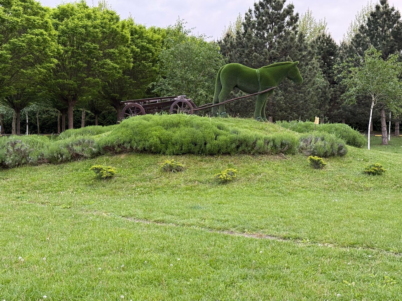 Апарт-отель Мюллер Бах Краснодар-202