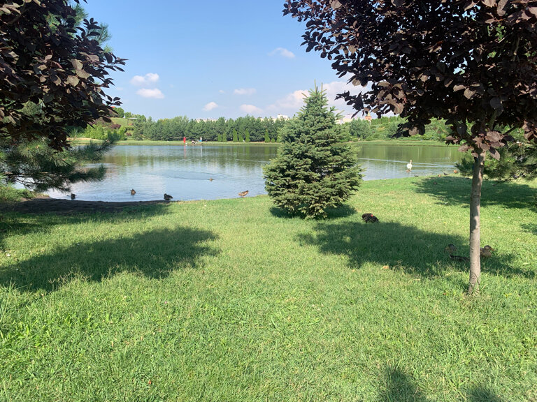 Апарт-отель Мюллер Бах Краснодар-240