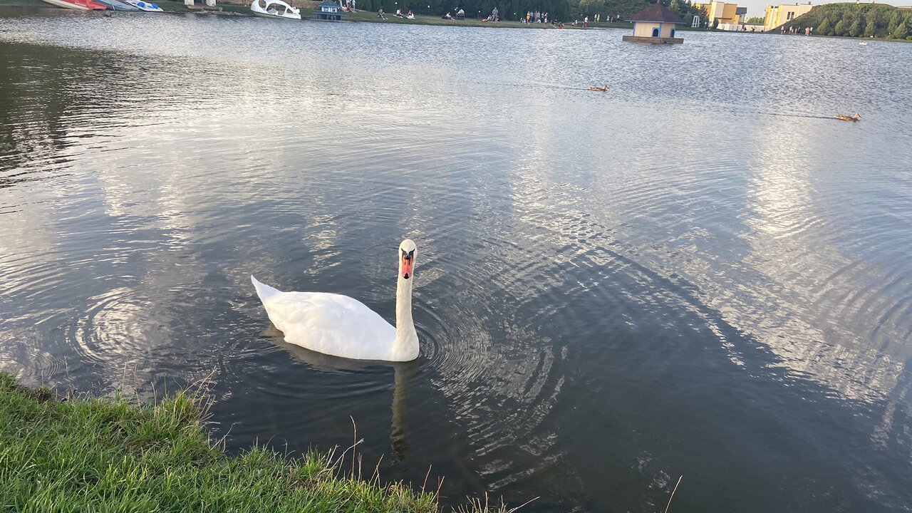 Апарт-отель Мюллер Бах Краснодар-248