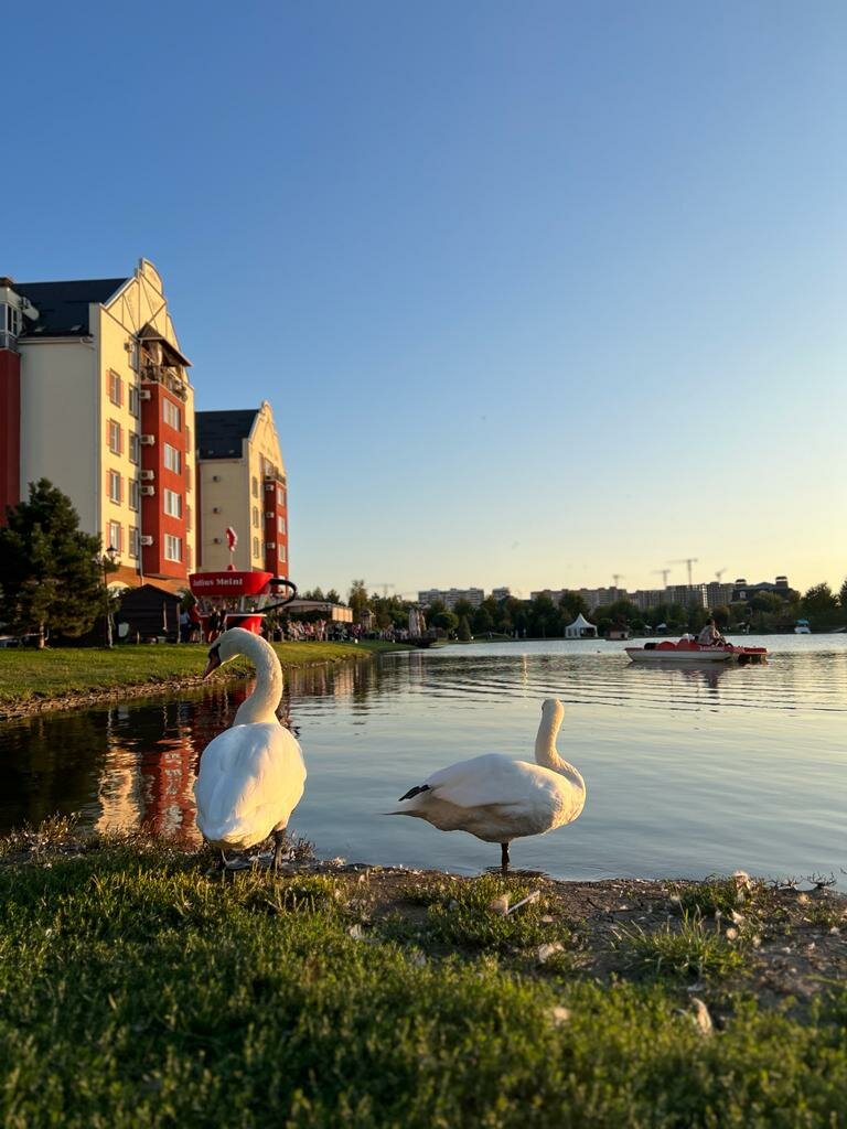 Апарт-отель Мюллер Бах Краснодар-167