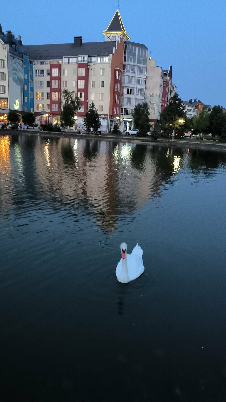 Апарт-отель Мюллер Бах Краснодар-215