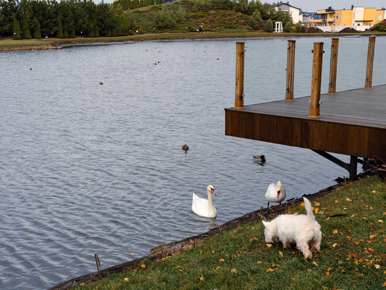 Апарт-отель Мюллер Бах Краснодар-50