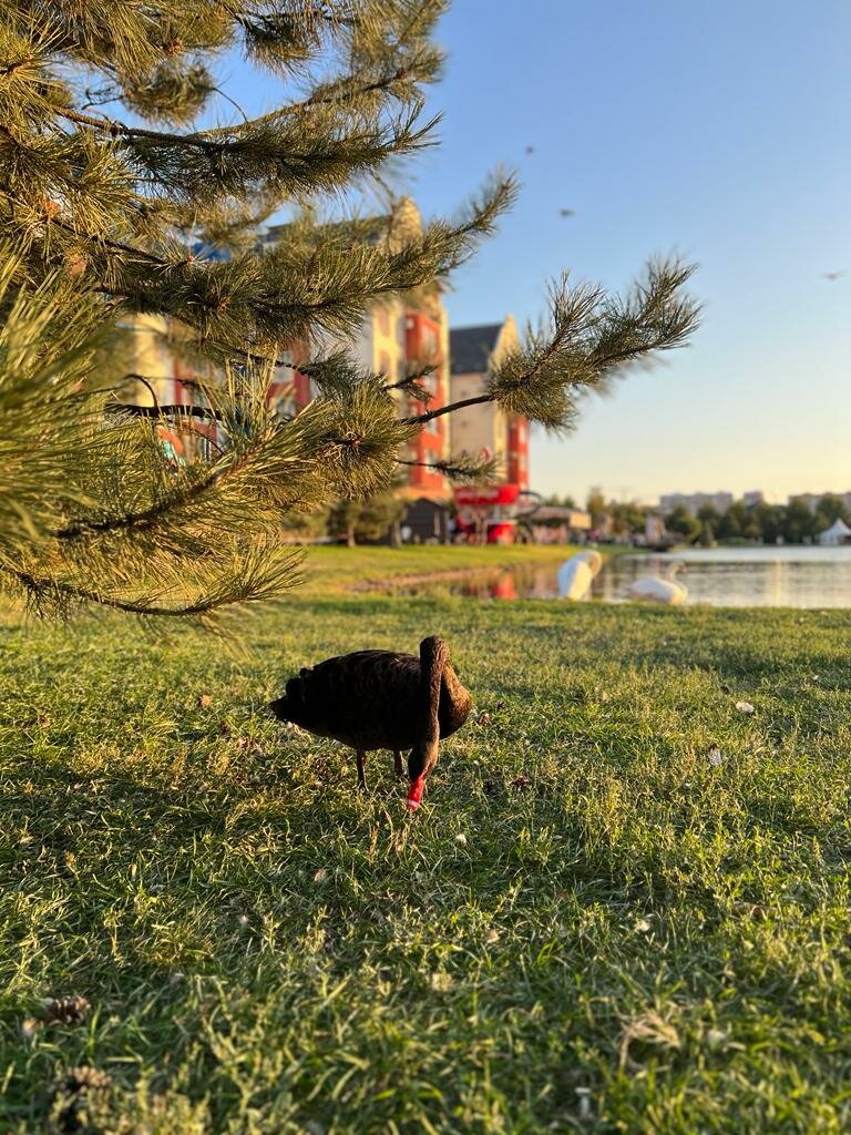 Апарт-отель Мюллер Бах Краснодар-191