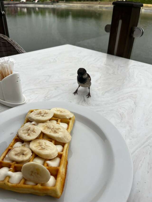 Апарт-отель Мюллер Бах Краснодар-230