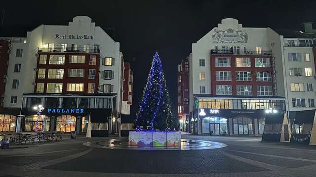 Апарт-отель Мюллер Бах Краснодар-179