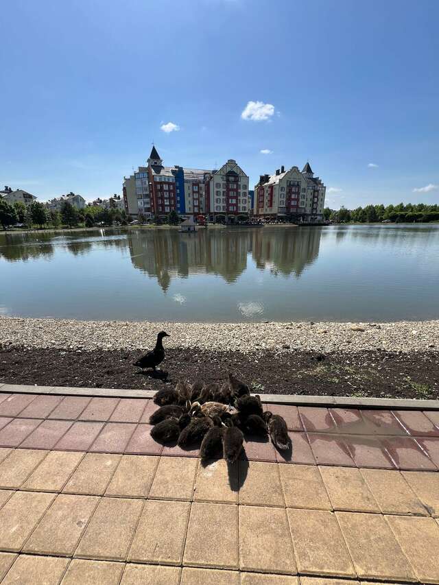 Апарт-отель Мюллер Бах Краснодар-187