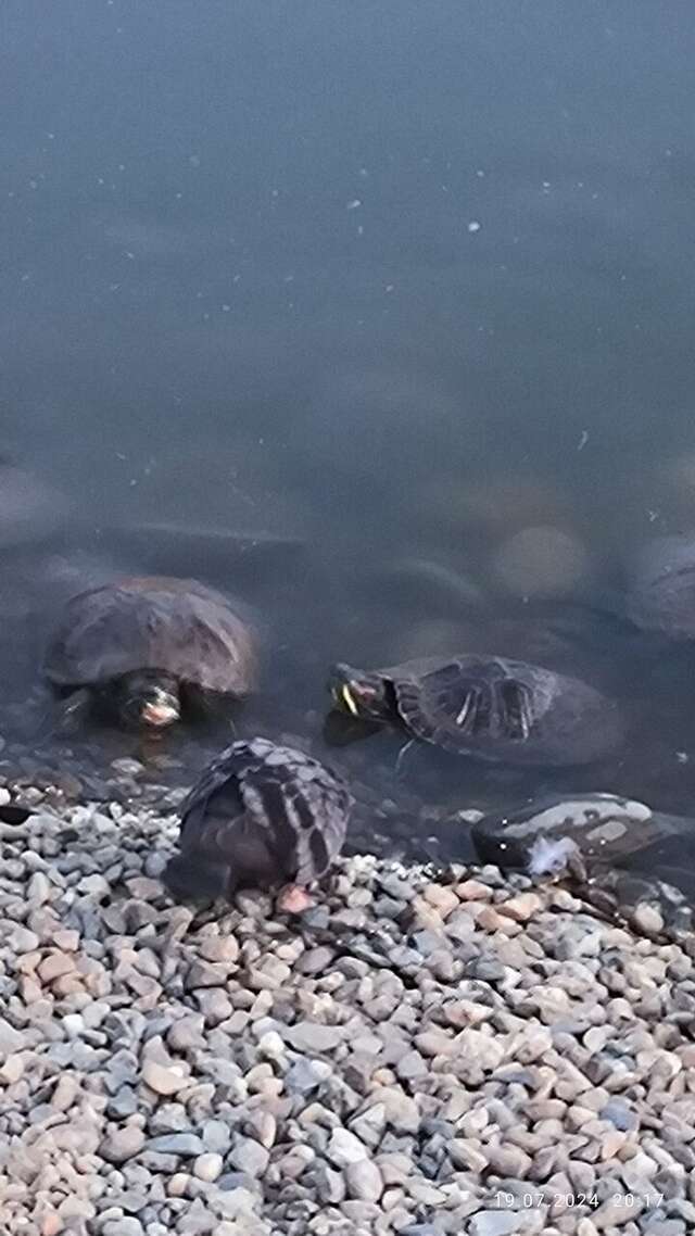 Апарт-отель Мюллер Бах Краснодар-216