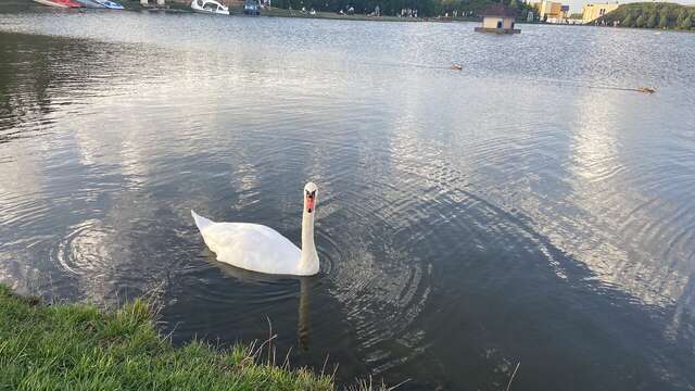 Апарт-отель Мюллер Бах Краснодар-247