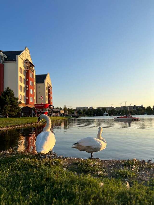 Апарт-отель Мюллер Бах Краснодар-166