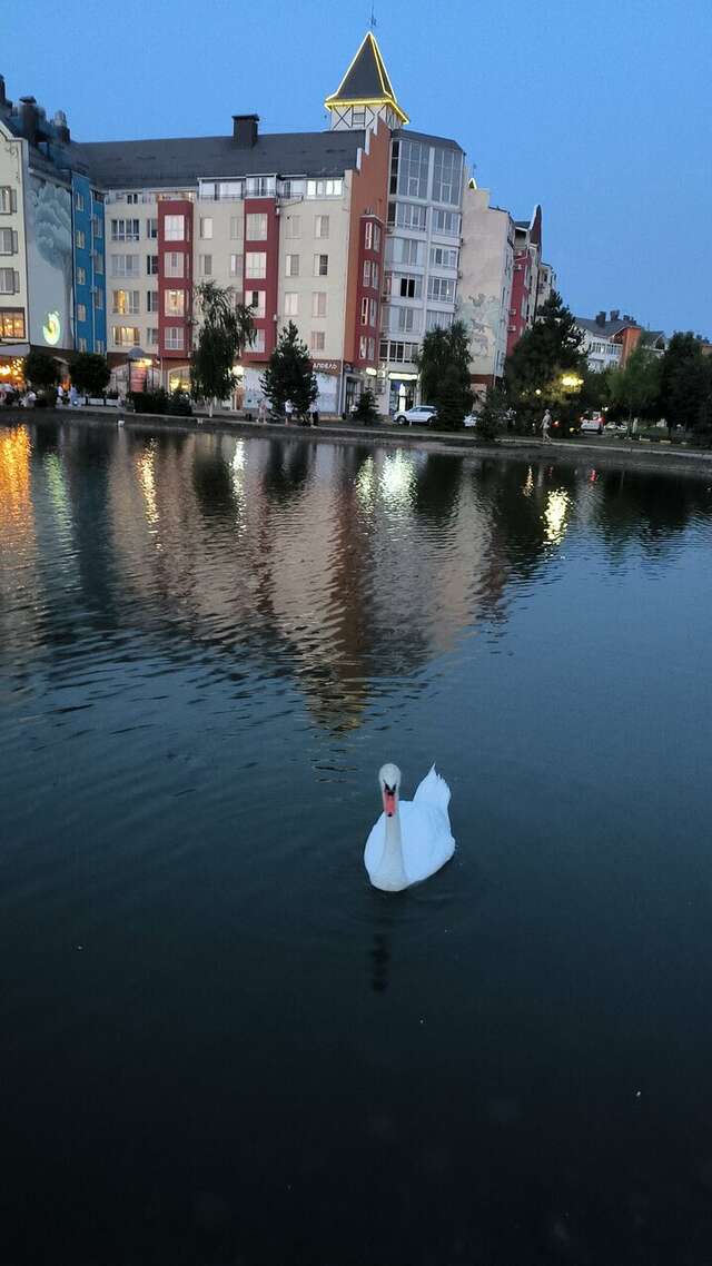 Апарт-отель Мюллер Бах Краснодар-214