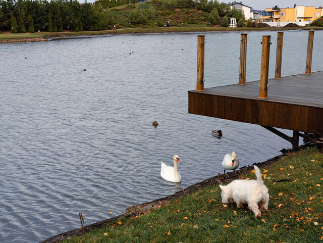 Апарт-отель Мюллер Бах Краснодар-49